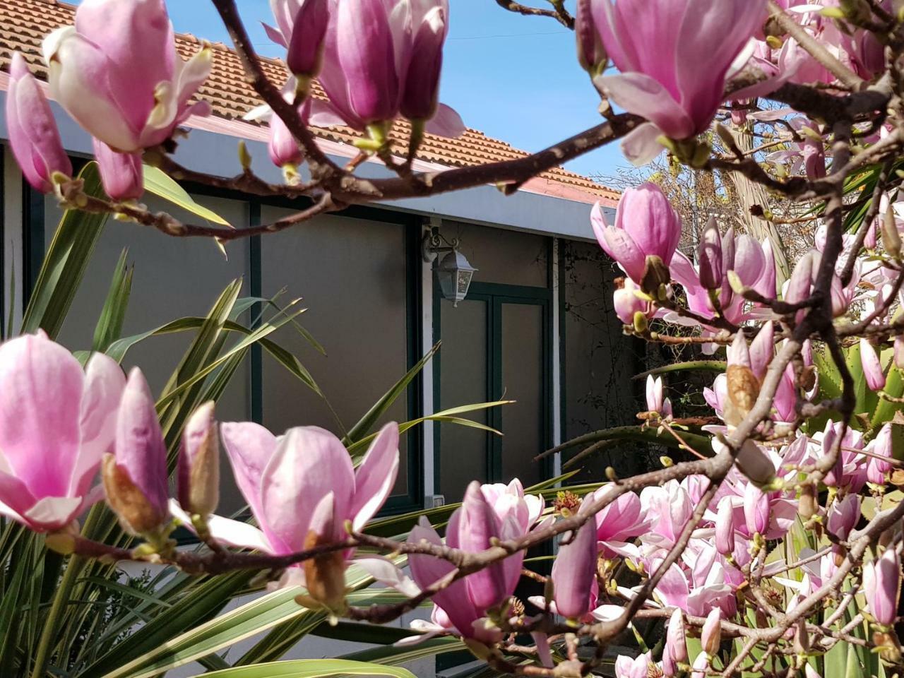 Villa Kalimera Sorrent Exterior foto