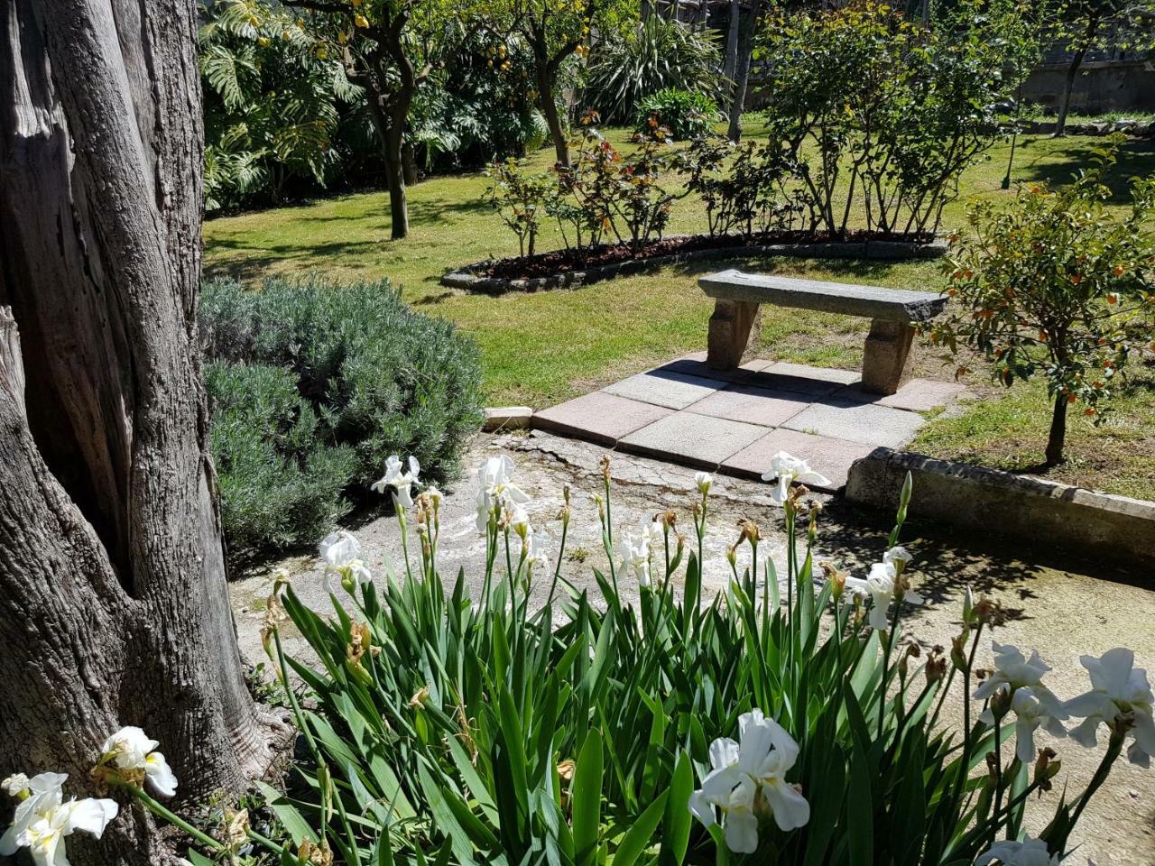 Villa Kalimera Sorrent Exterior foto