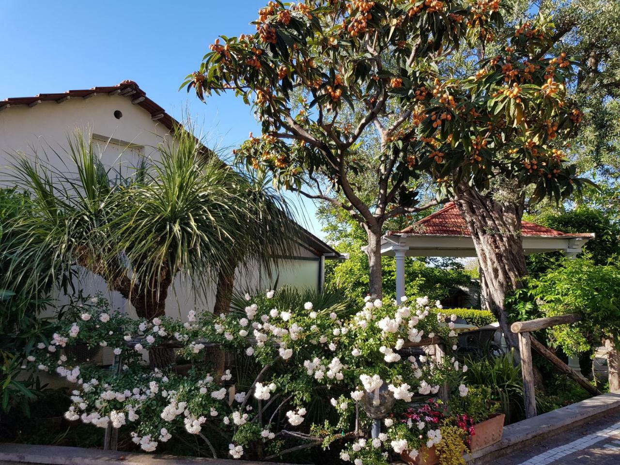 Villa Kalimera Sorrent Exterior foto